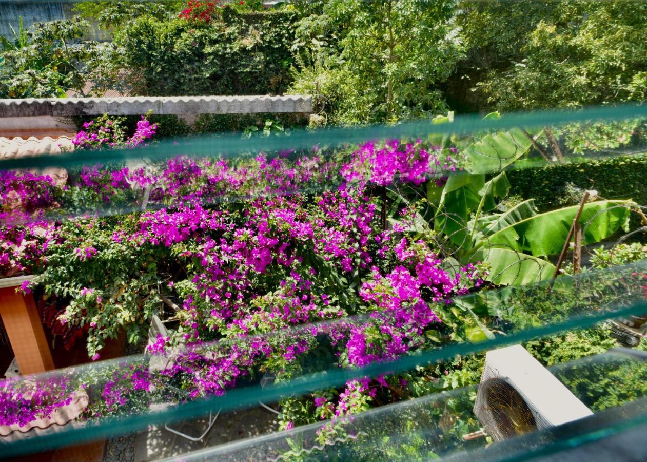 Casa Xunaan Kab Guest house San Salvador